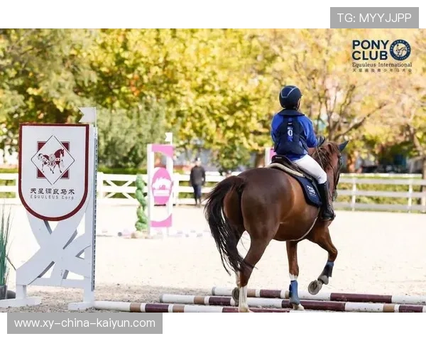 美国马术协会设立“Mustang Challenge”奖学金,支持传统马术研究。,美国马术金牌