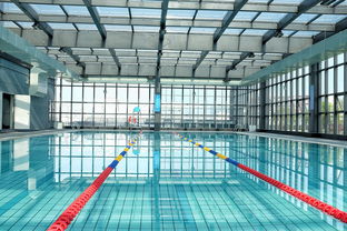 开云·体育官网-世界游泳锦标赛中国运动员连续夺牌，世界游泳锦标赛中国运动员连续夺牌几次